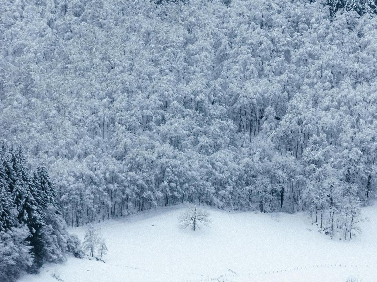 Похожий морозный январь фиксировали в 1996-м, 1997-м, 2006-м и 2010 году