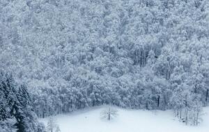 Похожий морозный январь фиксировали в 1996-м, 1997-м, 2006-м и 2010 году