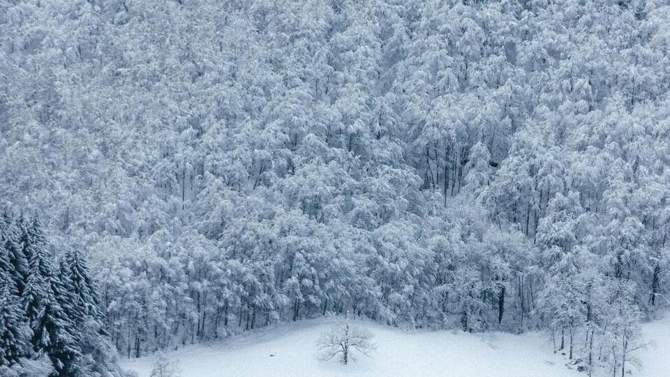 Схожий морозний січень фіксували 1996-го, 1997-го, 2006-го і 2010 року