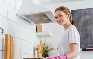 Вытяжку можно почистить самостоятельно