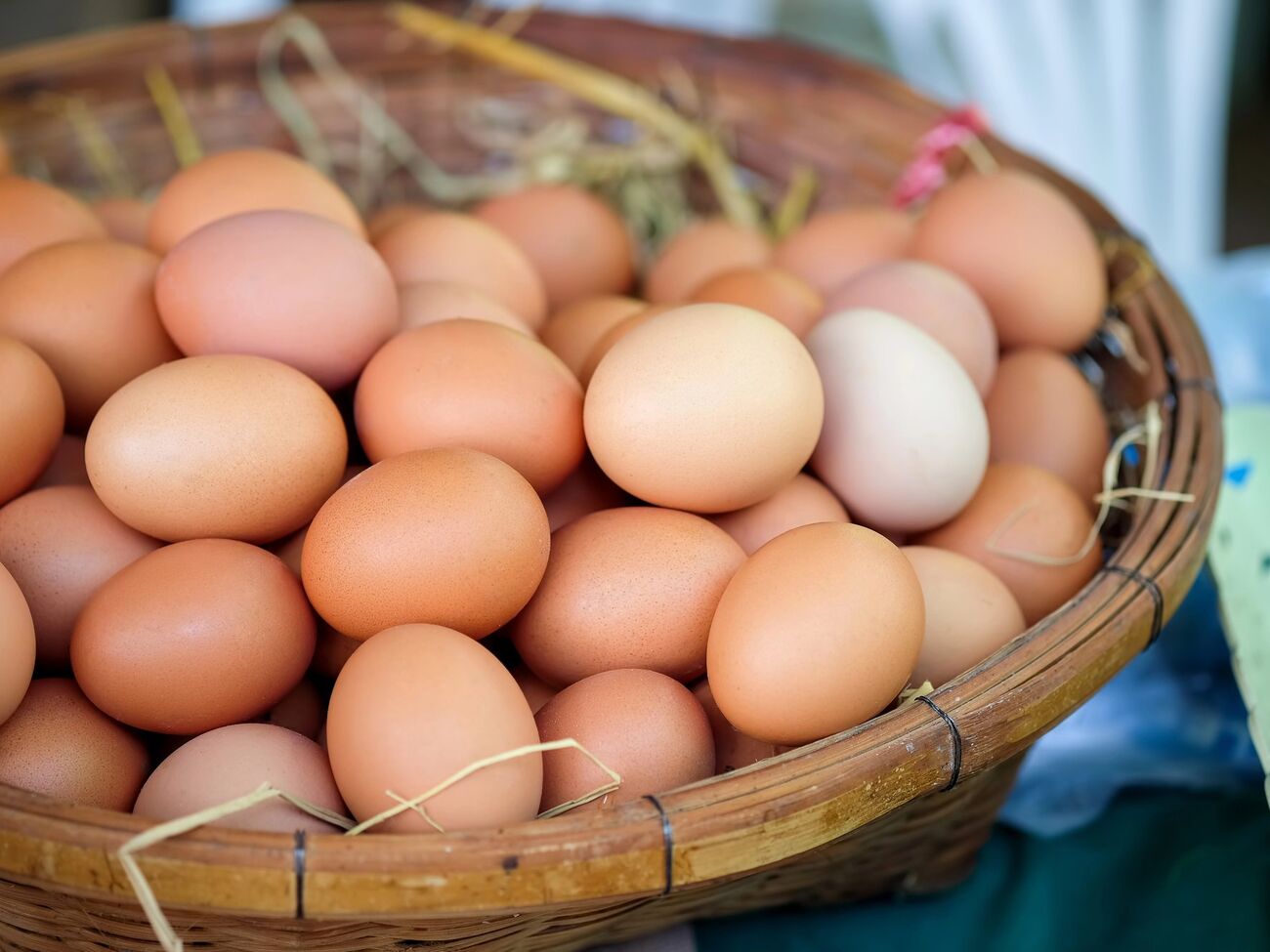 Вкус и питательная ценность яиц зависят от условий содержания куриц и их рациона питания