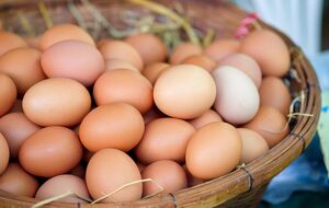 Вкус и питательная ценность яиц зависят от условий содержания куриц и их рациона питания