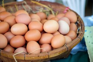Вкус и питательная ценность яиц зависят от условий содержания куриц и их рациона питания