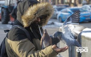В Україні 21 січня буде сонячно