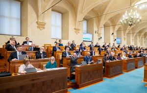 Сенат Чехії підтвердив свою підтримку України як країни, яка зазнала нападу