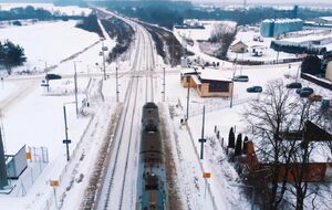 Експерт наголосив на потребі структурних реформ УЗ