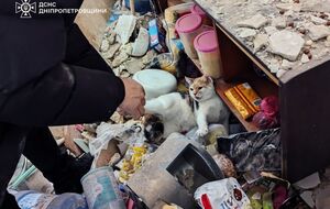 Известно об 11 пострадавших