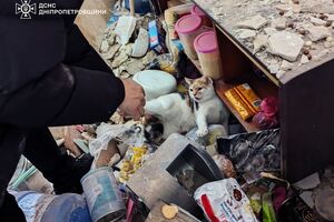 Відомо про 11 постраждалих