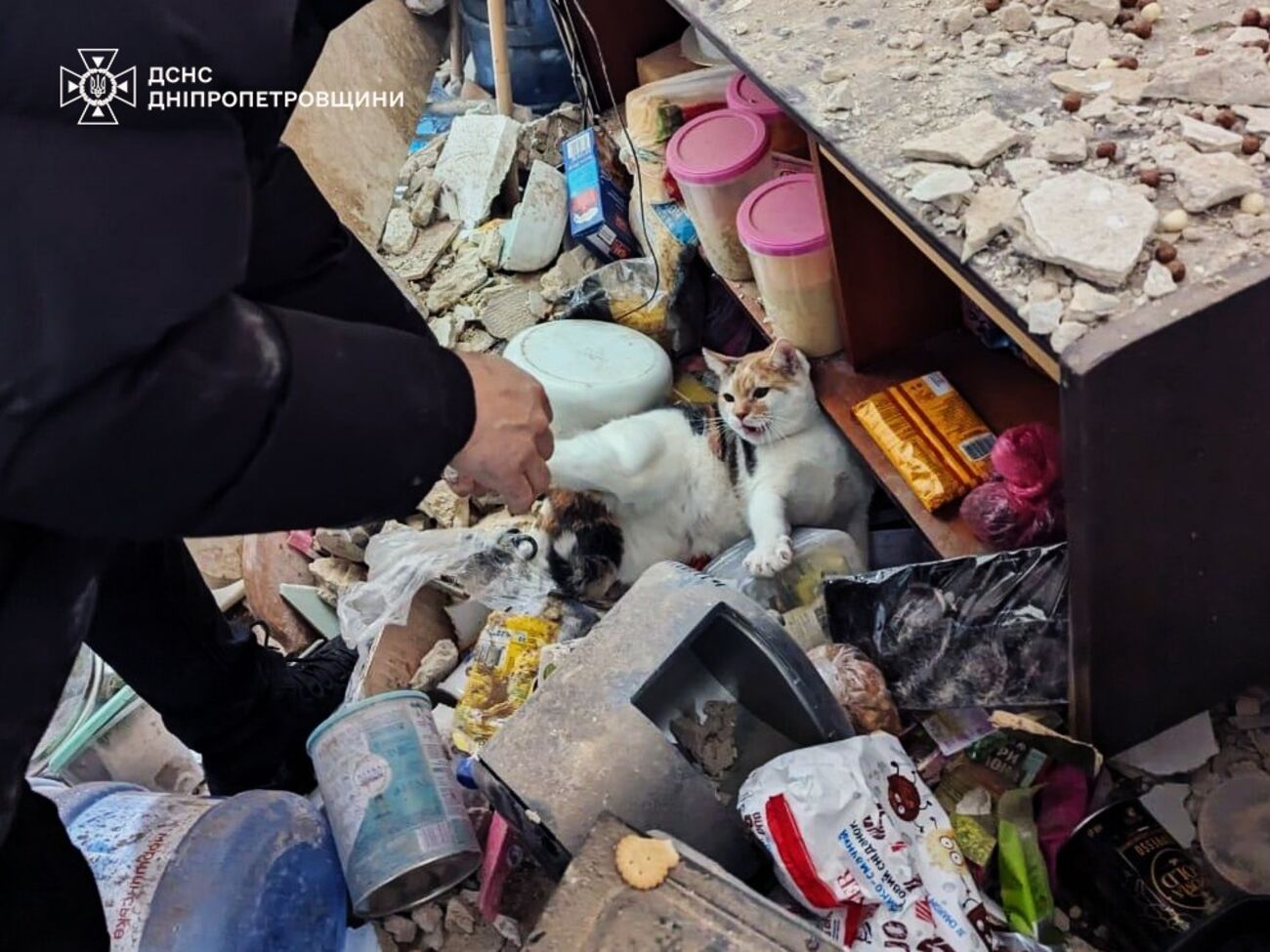 Відомо про 11 постраждалих