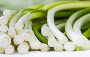 Дома можно всегда иметь собственную зелень