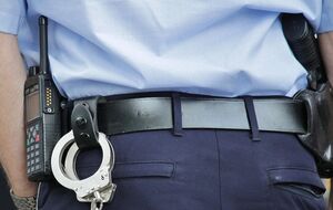 Арест произошел по ордеру федерального суда Германии