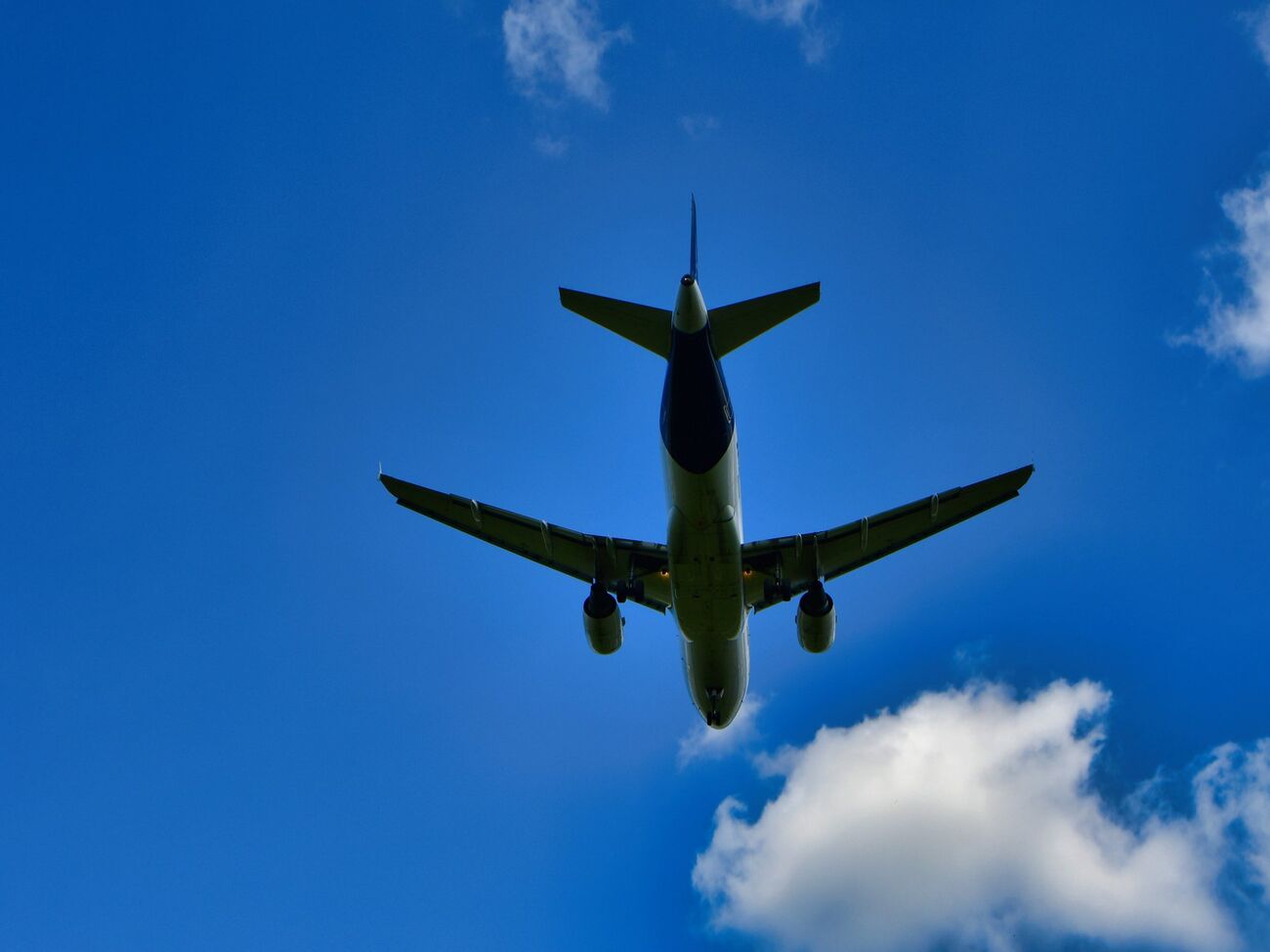 Чоловік використав підроблене посвідчення, щоб літати безоплатно