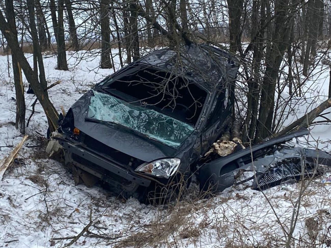 Автомобіль винесло до дерев