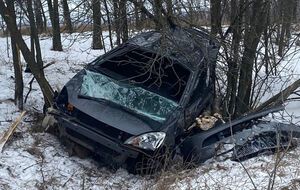 Автомобіль винесло до дерев