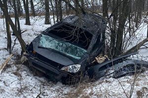 Автомобіль винесло до дерев