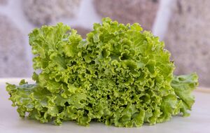 Урожай будет свежим и качественным