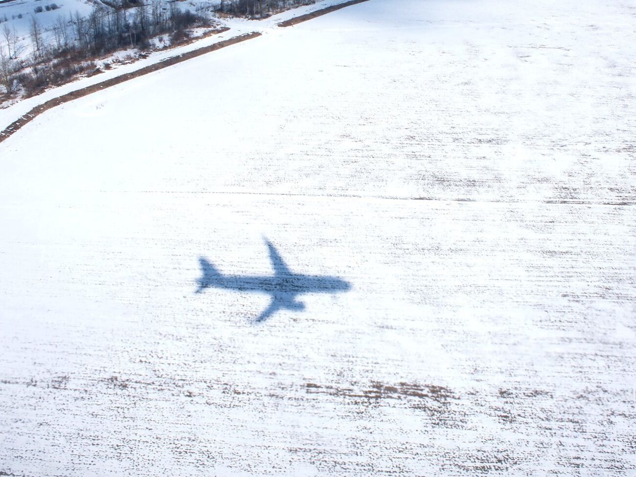 За даними FAA, на борту літака, який розбився у США, було вісім осіб