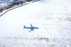 За даними FAA, на борту літака, який розбився у США, було вісім осіб