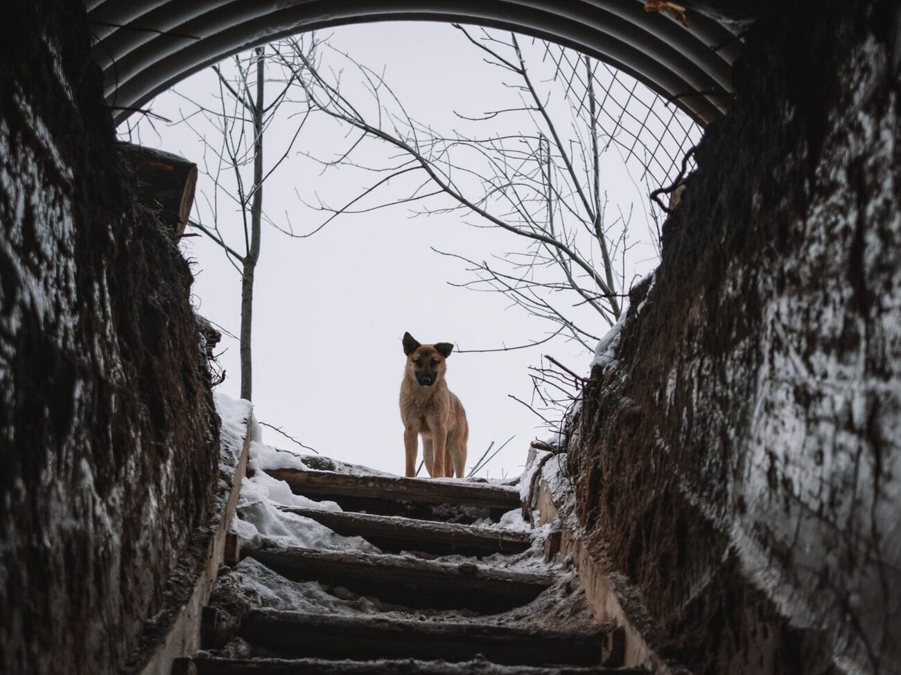 Замедление наступления в Украине лишает Россию козыря на переговорах, отметили СМИ