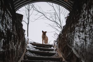 Замедление наступления в Украине лишает Россию козыря на переговорах, отметили СМИ
