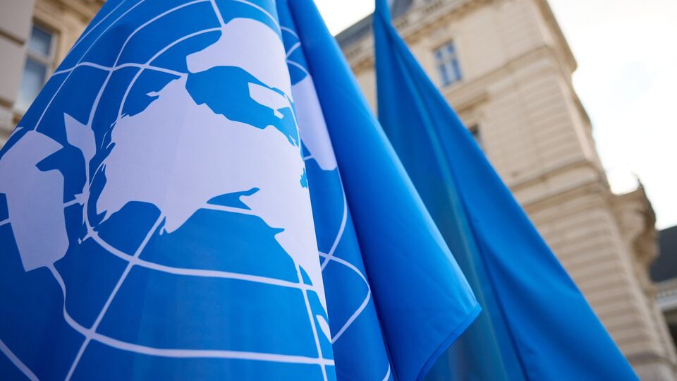 Среди экспертов ООН оказалась профессор госуниверситета Беларуси