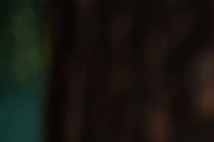 Фигурант стрелял в полицейских из засады в лесопосадке