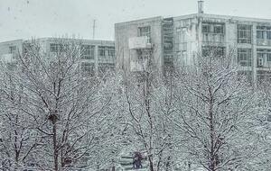 Із п’ятниці, 30 січня, почнеться зниження температури з півночі й північного заходу України