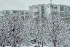 Із п’ятниці, 30 січня, почнеться зниження температури з півночі й північного заходу України