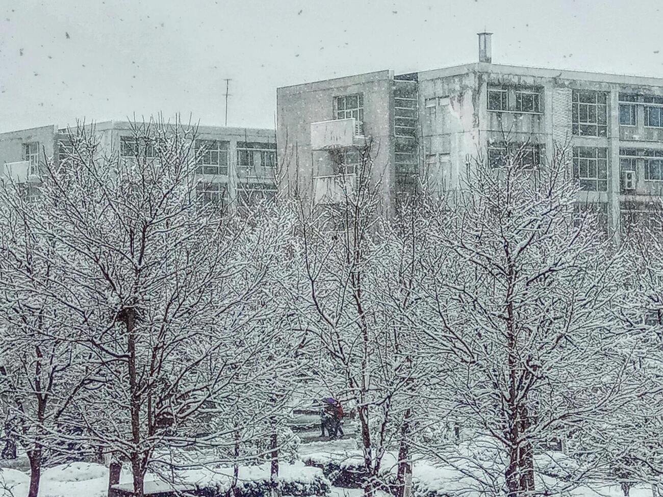 Із п’ятниці, 30 січня, почнеться зниження температури з півночі й північного заходу України