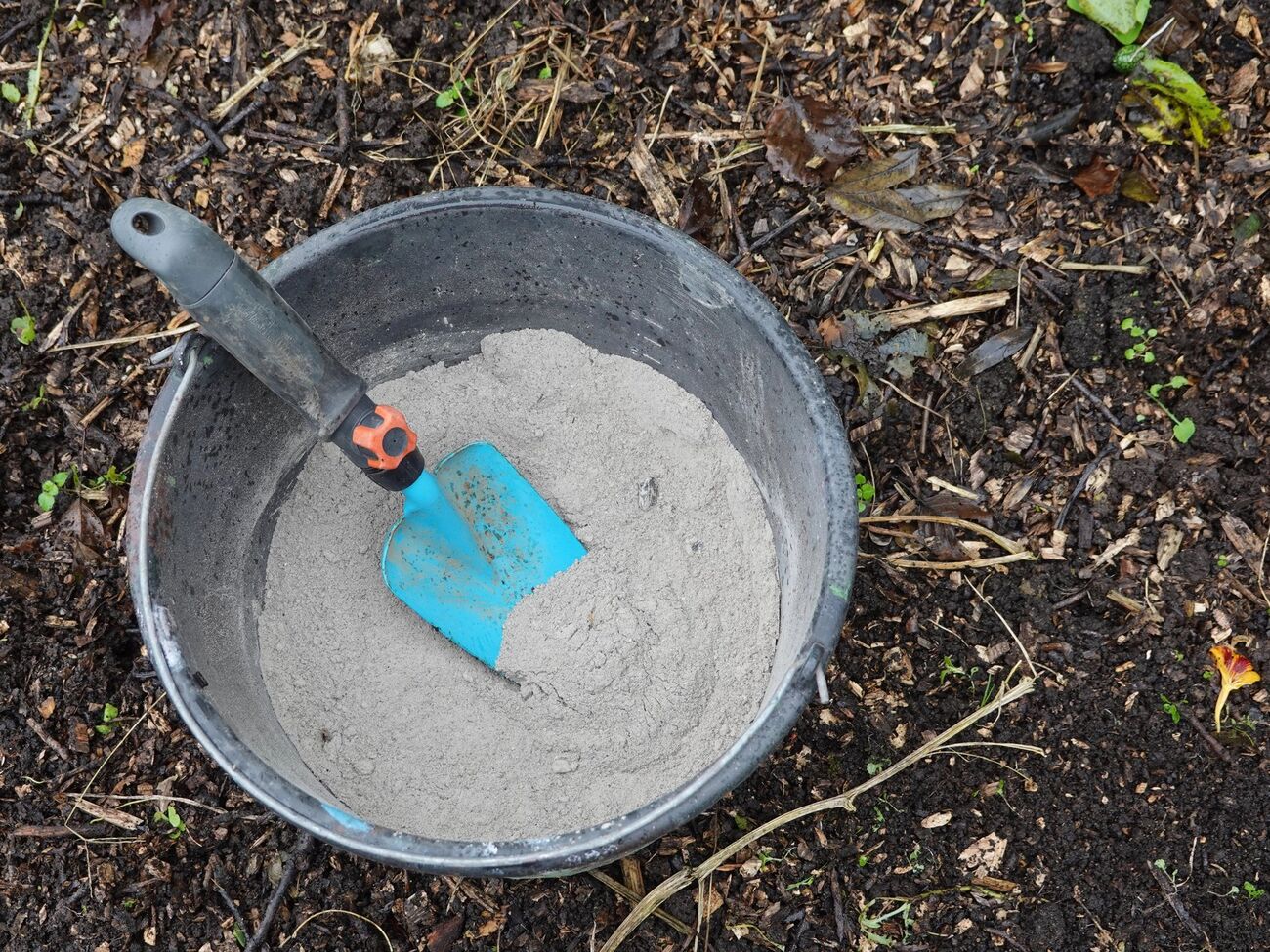 Древесная зола насыщает почву ценными минералами