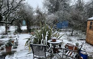 Лед растает через несколько минут