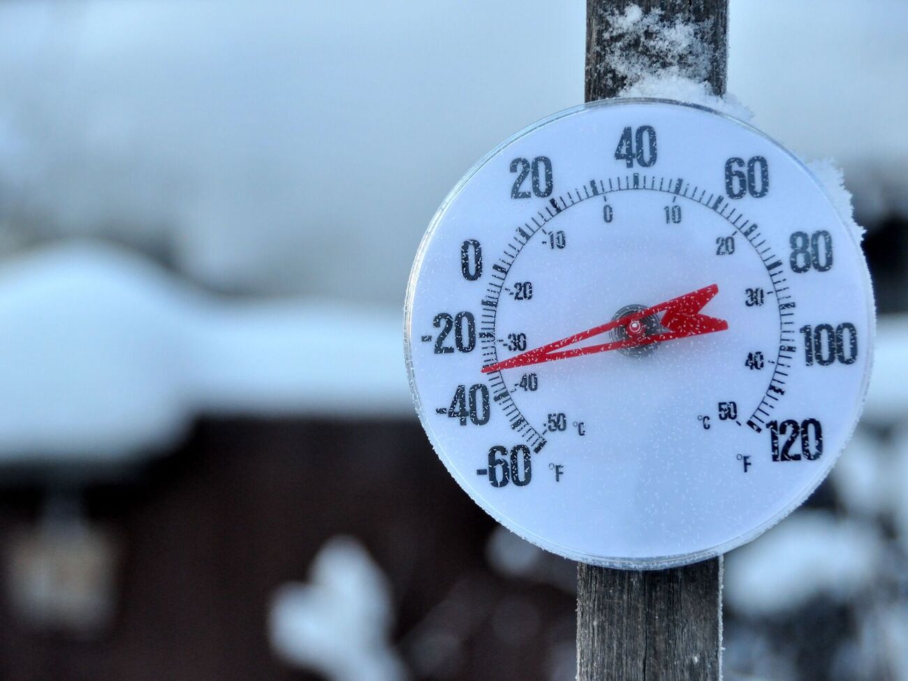 Сильні морози прогнозують від початку лютого: уночі -20…-27 °C, окрім Закарпаття й півдня України