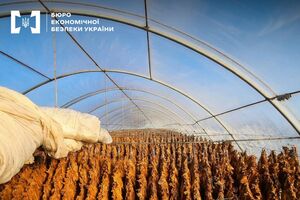 БЕБ викрило 28 нелегальних виробників тютюну 2025 року