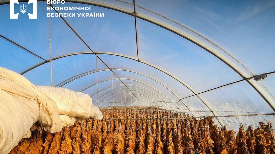 БЕБ викрило 28 нелегальних виробників тютюну 2025 року
