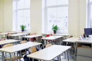 Каждая школа будет самостоятельно выбирать формат занятий