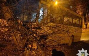 Полиция: Идя по улице, подозреваемый заметил припаркованный автобус "Богдан" и проник в салон