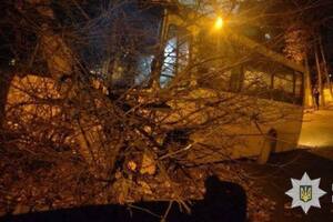 Полиция: Идя по улице, подозреваемый заметил припаркованный автобус "Богдан" и проник в салон