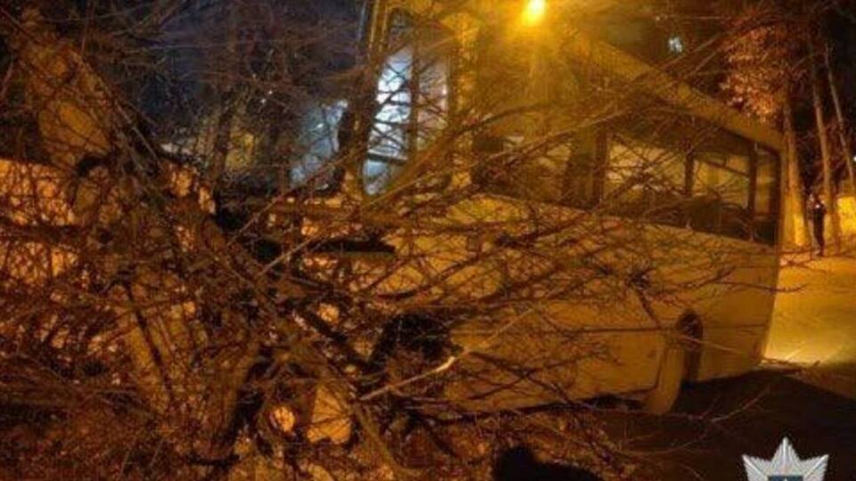Поліція: Ідучи вулицею, підозрюваний помітив припаркований автобус "Богдан" і проник до салону