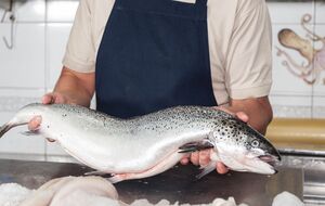 Філе лосося має бути рожевим або кораловим