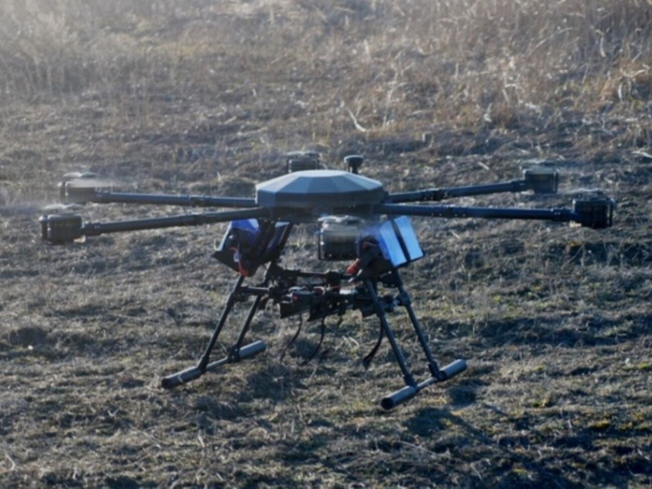 Vampire ще називають "Баба Яга"