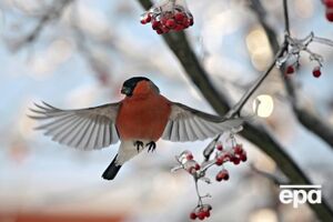 В целом месяц будет холодным по всей Украине, периоды потепления будут короткими, отметил Семилита