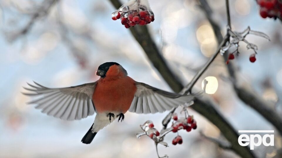 В целом месяц будет холодным по всей Украине, периоды потепления будут короткими, отметил Семилита