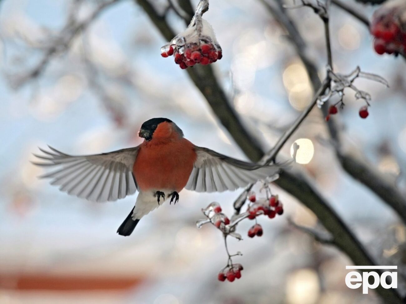 Загалом місяць буде холодним по всій Україні, періоди потепління будуть короткими, зазначив Семиліта