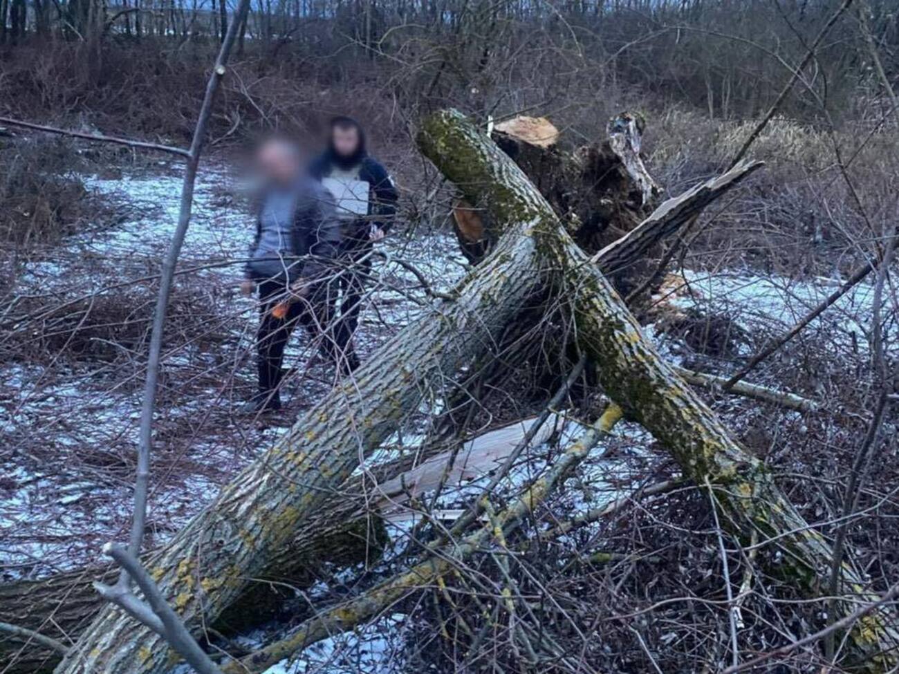 Дівчинка загинула одразу, зазначили правоохоронці
