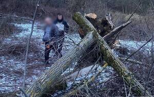 Девочка погибла сразу, отметили правоохранители