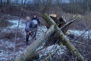 Девочка погибла сразу, отметили правоохранители