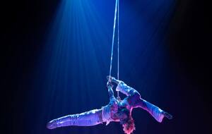 Спикер полиции сообщил, что украинцы получили серьезные травмы