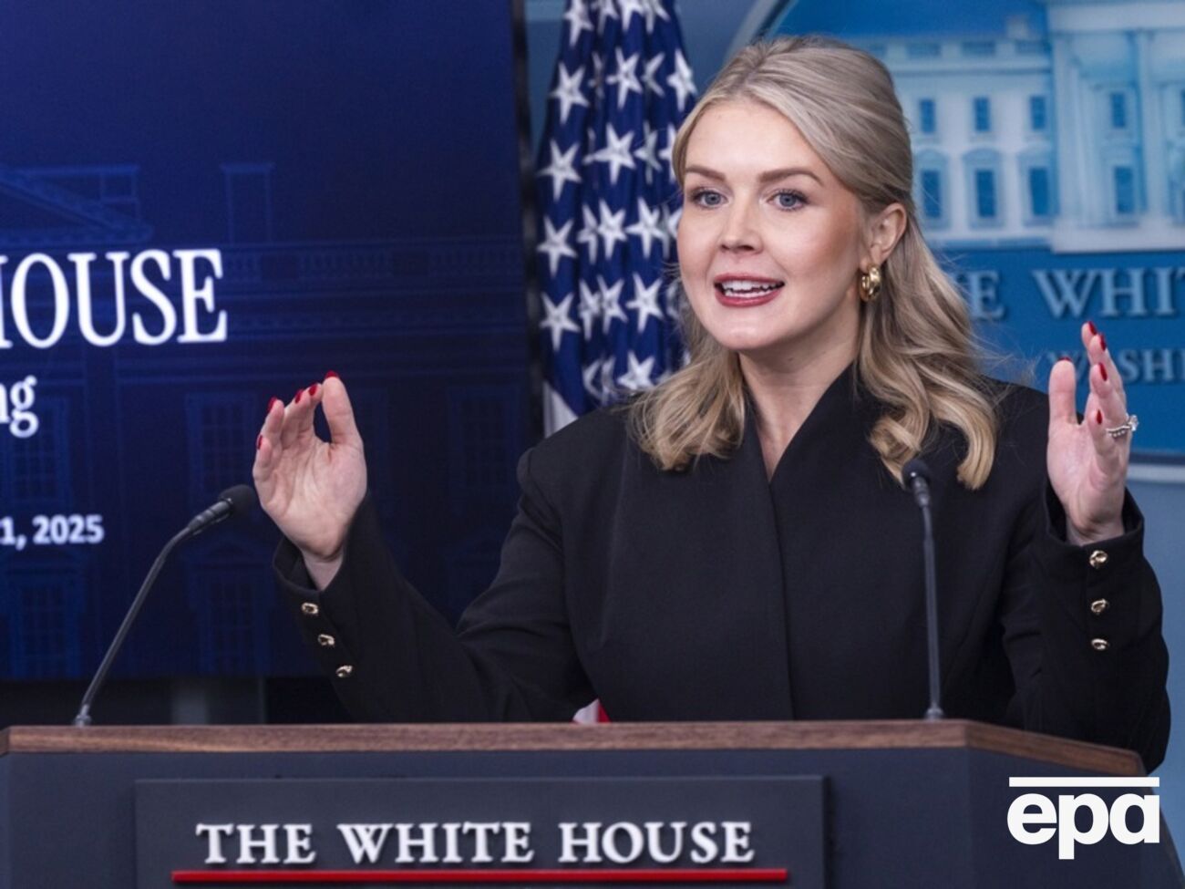 Використання армії США "завжди залишається варіантом", сказала Лівітт