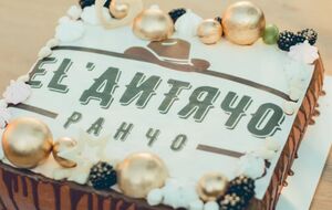 Директорка "Ранчо скул" назвала "нормальною практикою" тимчасове влаштування учнів у школу, яка легально працює, до одержання ліцензії іншою