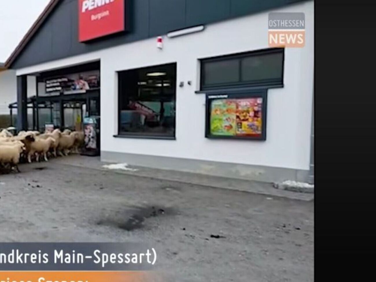 Магазин ожидает от пастуха возмещения ущерба, а в сети считают, что он должен получить денежное вознаграждение